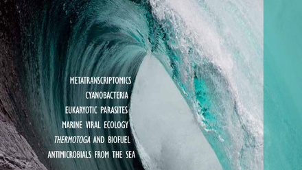 Cover of Microbiology Today, issue of May 2010