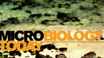 Cover of Microbiology Today, issue of November 2002