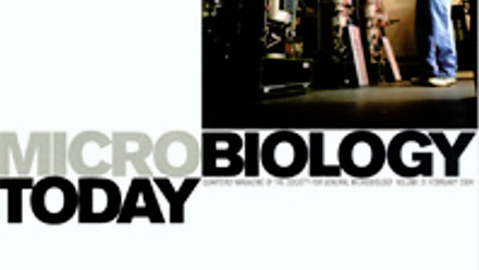 Cover of Microbiology Today, issue of February 2004