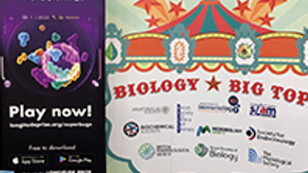 Big Biology Day