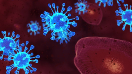 Blue COVID-19 viruses close up.