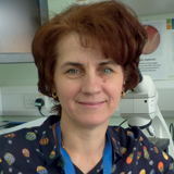 MT Aug 15 grants dorina timofte