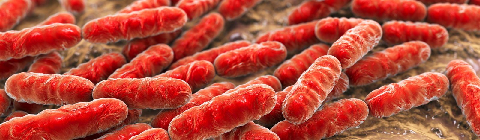 Microbial-Resources-for-Agricultural-and-Food-Security credit Dr_Microbe iStock.jpg