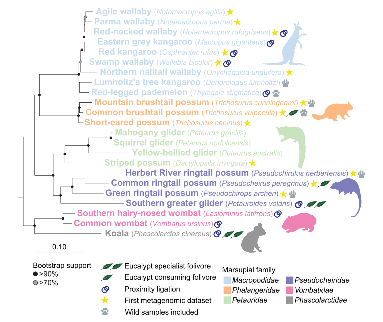 Screenshot 2026-01-13 141823.png