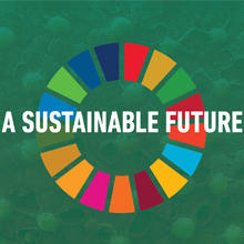 UN SDGs multicoloured wheel with 'A Sustainable Future' on top