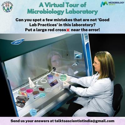 Weekly activity released following the Microbe Express episode, taking participants on a Virtual Tour of a Microbiology Lab. 