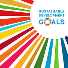 UN SDGs - MT thumbnail.jpg