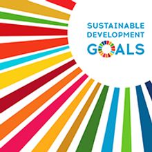 UN sustainable development goal logo with rainbow stripes.
