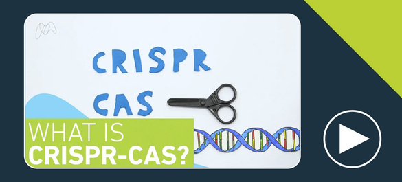 Thumbnail of a video on what is CRISPR-Cas