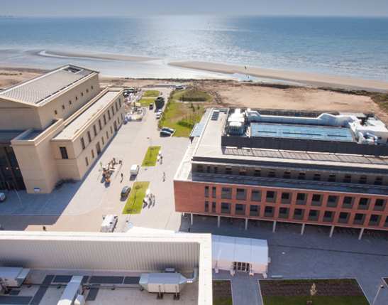 Room with desk, chair and bed
