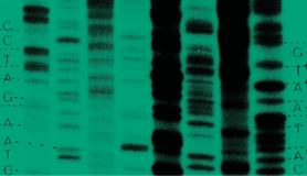 Biotic Control of Bacteria banner