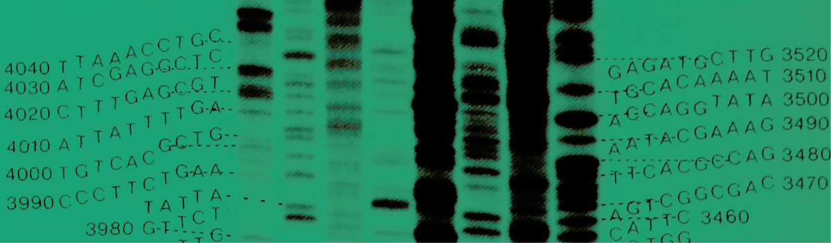 Biotic Control of Bacteria Meeting & Conference logo