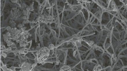 Fig2-ClarkeMGEBlog thumb.png