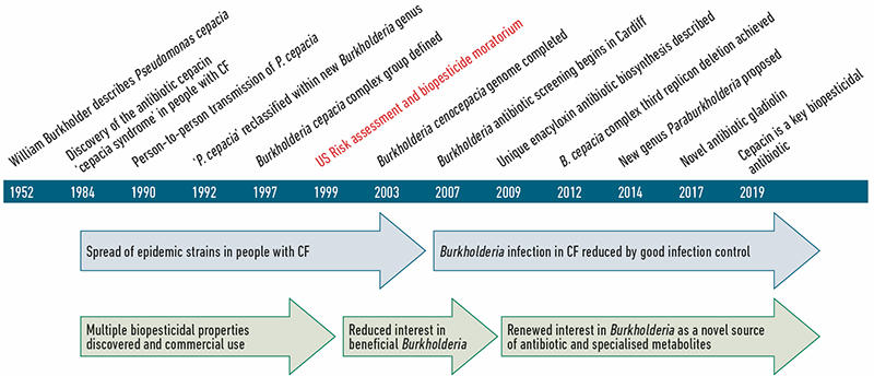 A timeline of key events in our understanding of Burkholderia bacteria as both pathogens and beneficial bacteria.