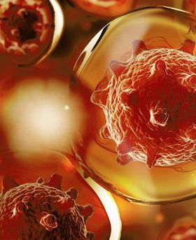 Multiple cells, each with a translucent outer membrane and a dense, textured red nucleus, floating in a brown fluid background.