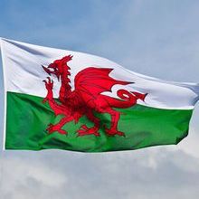 Welsh-flag-425x500px-iStock_jmci.jpg