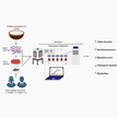Fermented Milk Products as a Source of Gut-Healthy Probiotics for Obesity thumb.png