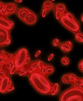 Illustration of multiple red blood cells.