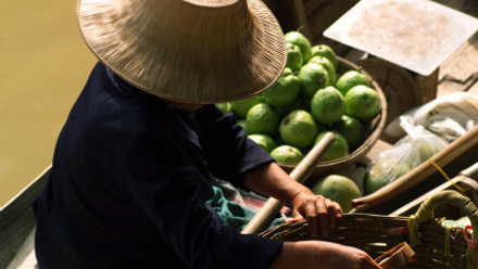 travellers diarrhoea