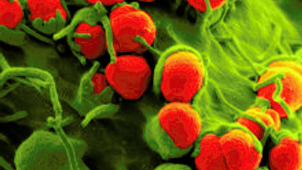 MT May 2013 06_03_Ison - b2201414