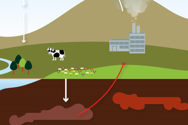 carbon oxygen cycle animation