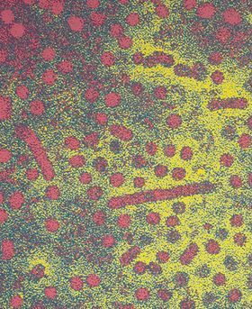 Colourful image of molecules in the cell.