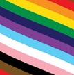 Pride-flag-thumbnail-425x500.jpg