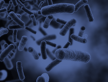 Microbiology Journal branding