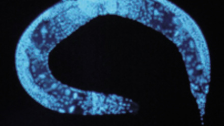 MT Feb 2016 best of the blog