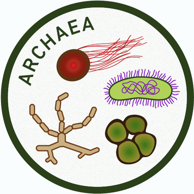 Approved WhatisMicrobiology-Icons-Archaea.png