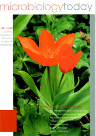 MT May 2005 cover web