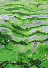 Green abstract shape