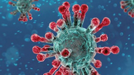 Coronavirus-news-220x260px.jpg