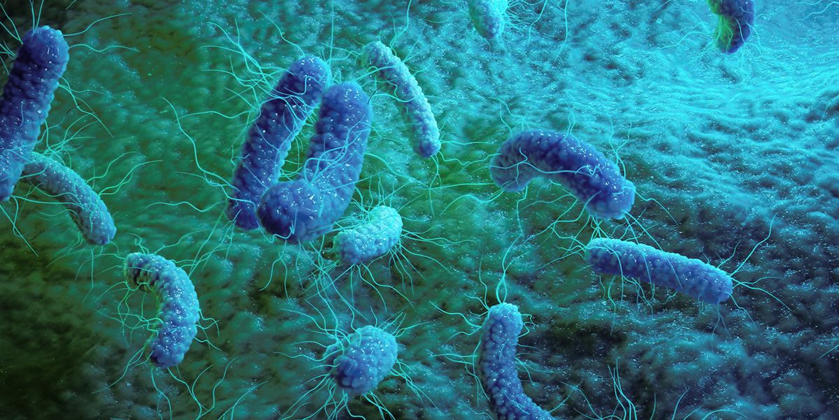 Infection Science