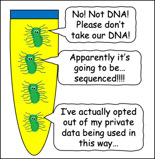 Image 2.png