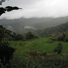 Green valley with cloudy weather