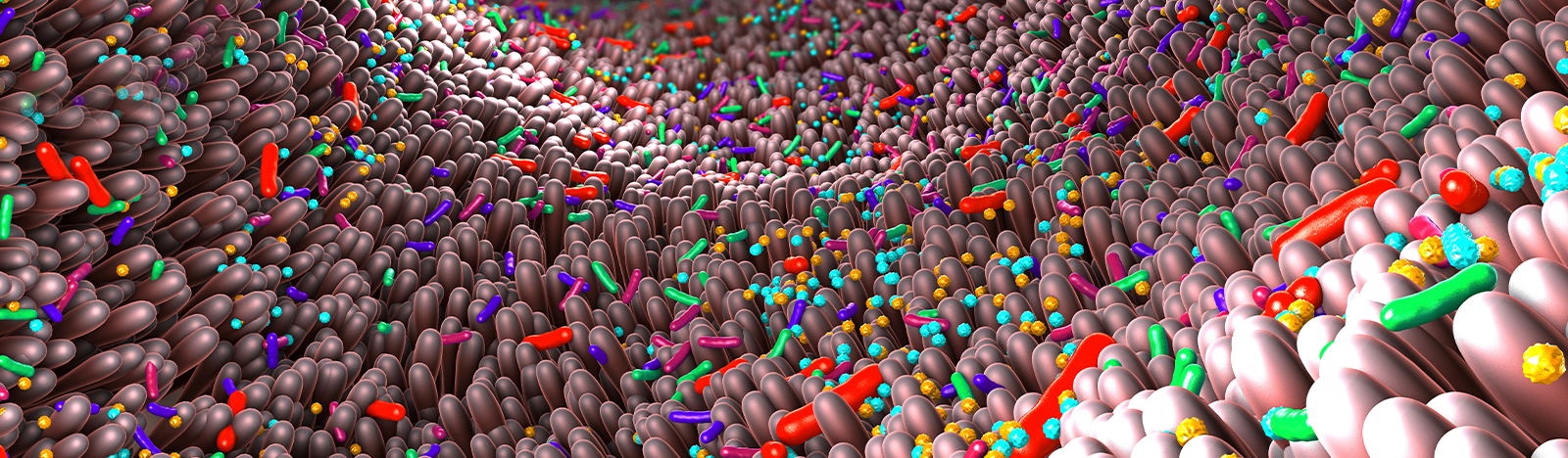 Mining the microbiome 1600x468.png 2