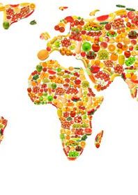 Variety of food drawings in the shape of a mappa mundi