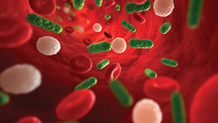 MT May 2013 comment f0043049