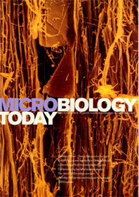 MT August 2003 cover web