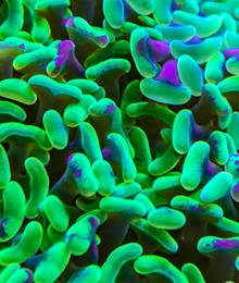 Microbiome-main.jpg