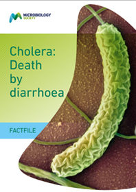 Cholera.jpg