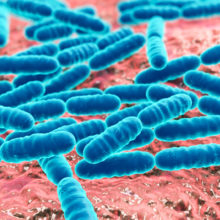 microbes-and-food.jpg