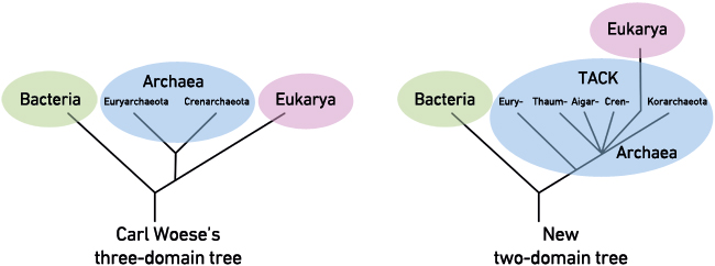 MT May 16 meaning of life two trees