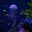 Jellyfish with corals and fish