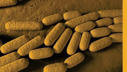 Branding used for International Journal of Systematic and Evolutionary Microbiology Editorial Board