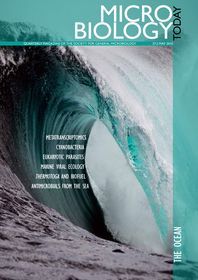 Cover of Microbiology Today, issue of May 2010