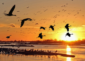 iStock-1950364364 (3).jpg 1