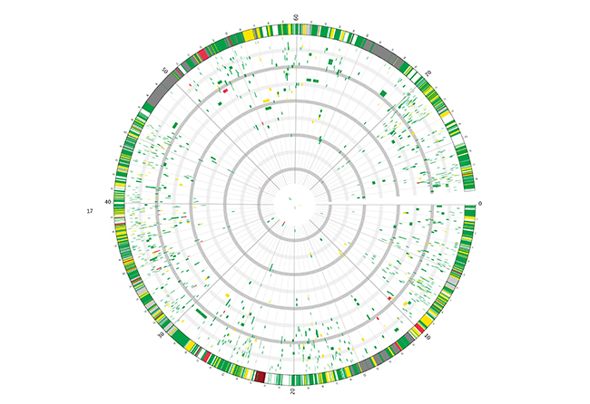 MT-Nov-17-genome-editing-genetic-map.jpg