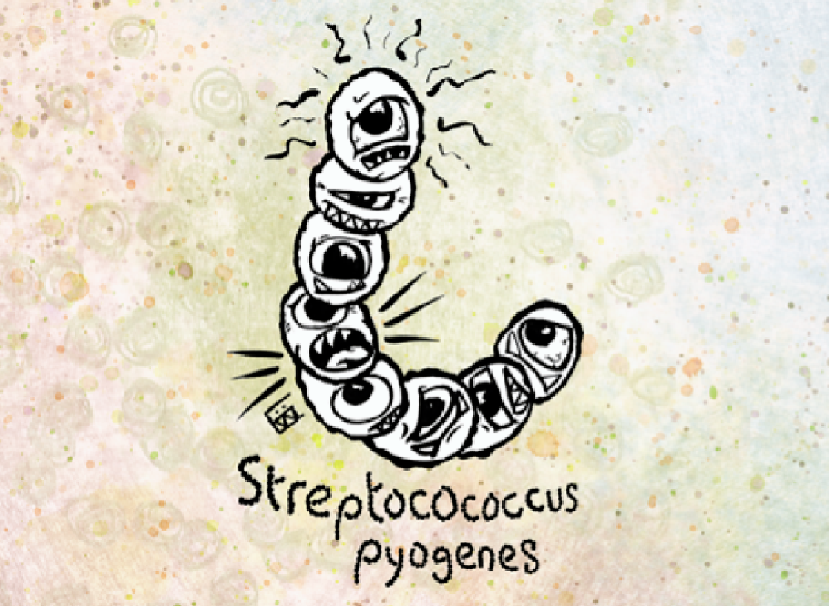 Streptococcus pyogenes.png